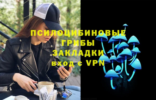 дурь Алексеевка