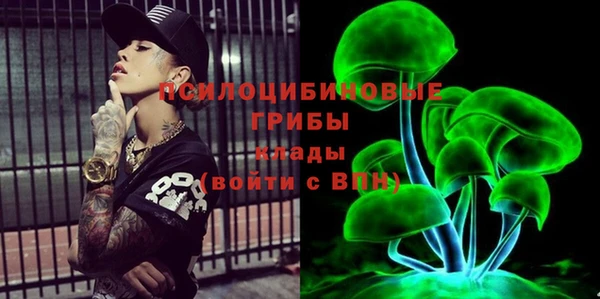 дурь Алексеевка