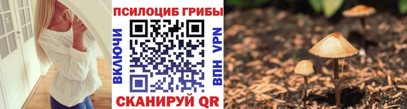 Купить где  Шимановск  Галлюциногенные грибы ЛСД 